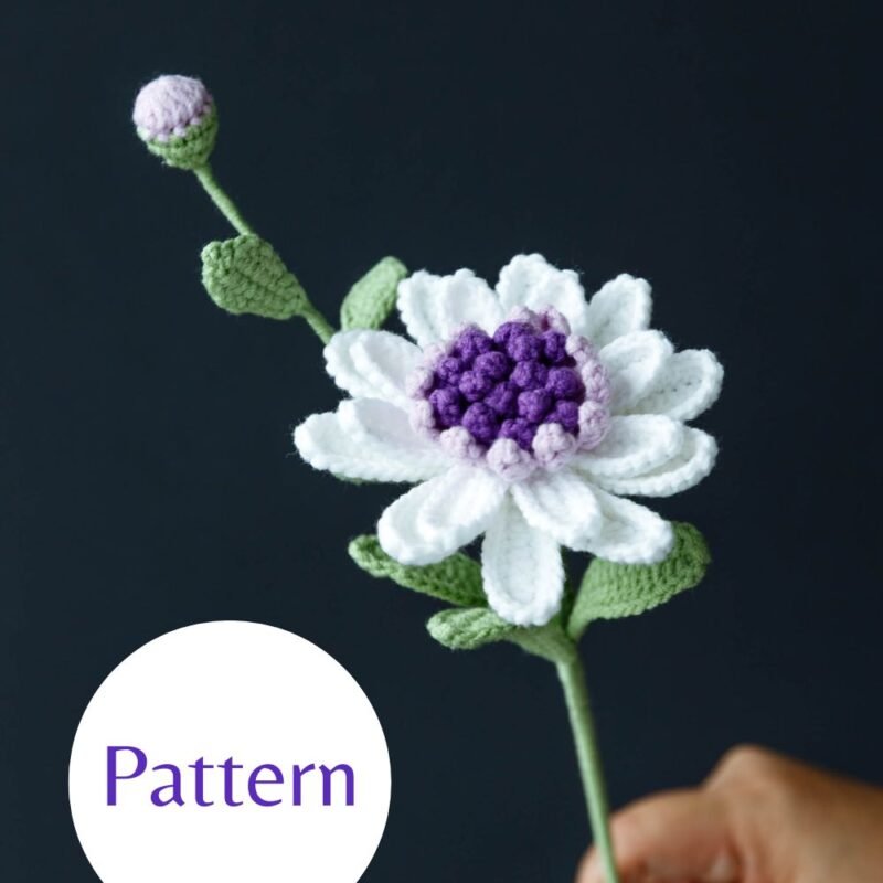 Field Daisy #21